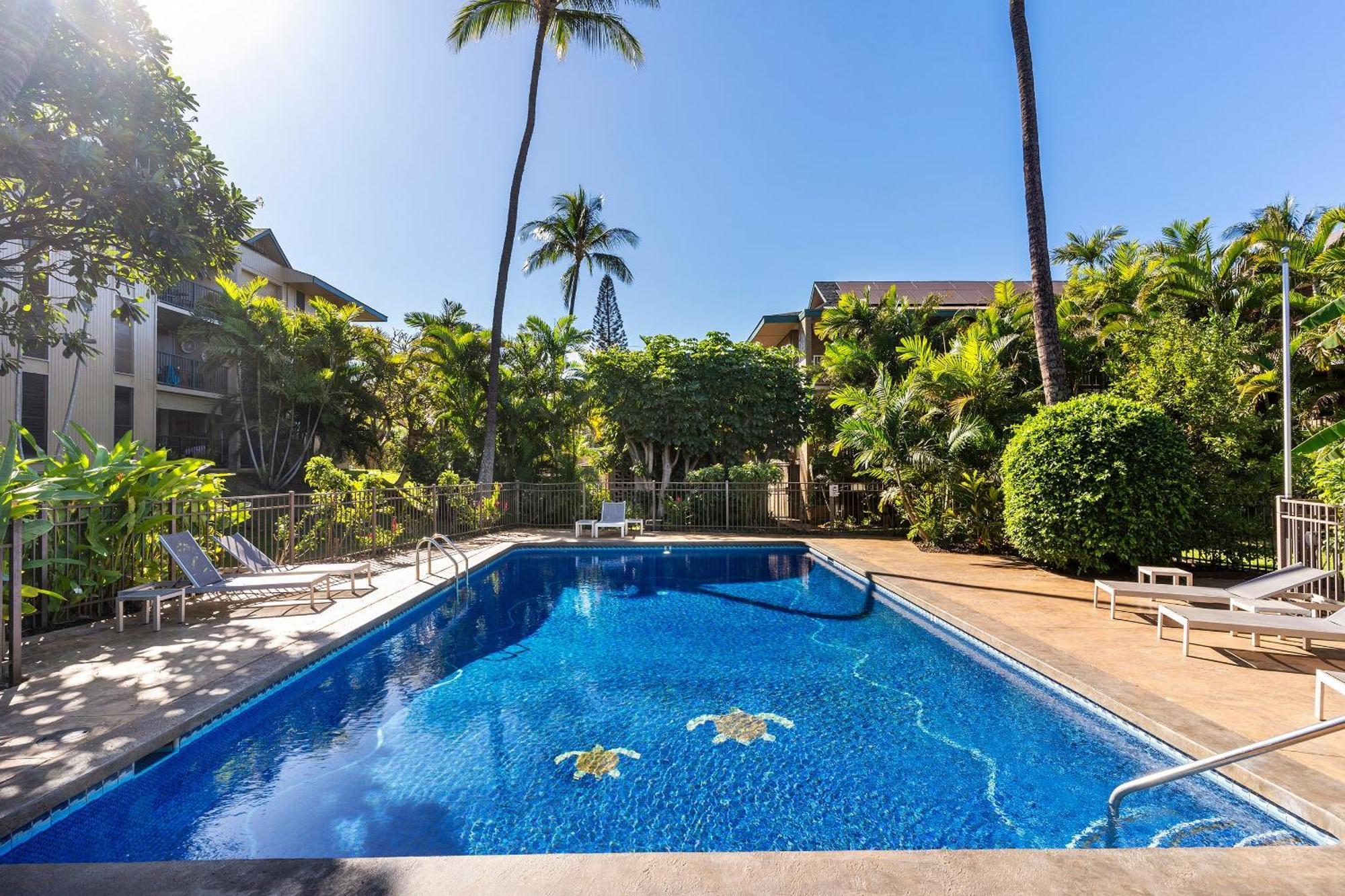 Kalama Terrace P-307 - Charming 1/1 Near Kam 1, Ac Kihei Exterior photo