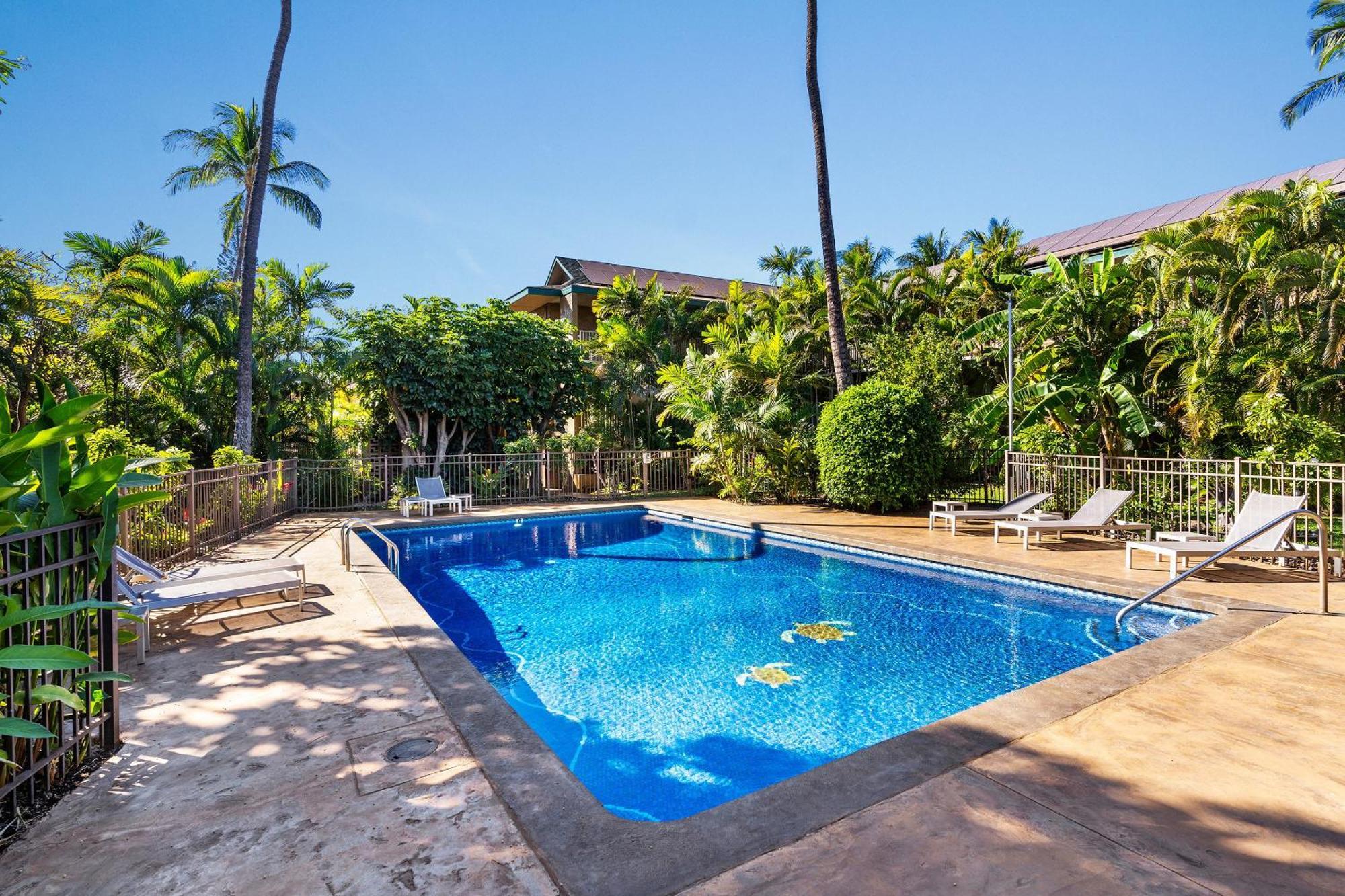 Kalama Terrace P-307 - Charming 1/1 Near Kam 1, Ac Kihei Exterior photo